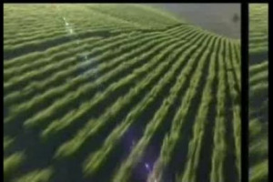 Continua il viaggio di WineNews in Sicilia, alla ricerca di nuove tendenze vitienologiche dell'isola. Le riflessioni del professor Attilio Scienza